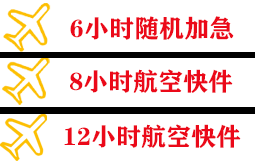 伊尔施航空快递快递公司,专业空运当天件
